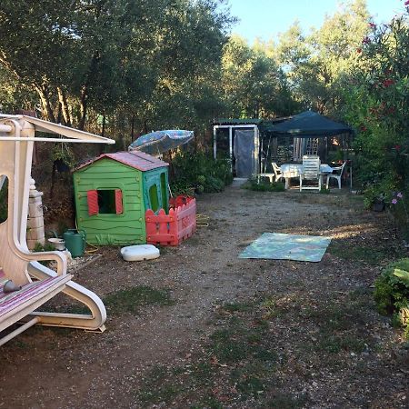 切里亚莱A Casa Di Nonna Luciana - Trilocale Con Giardino公寓 外观 照片
